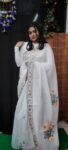 Traditional Hafsilk Saree with Handicraft Detailing Affordable Luxury